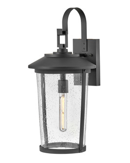 Banks LED Wall Lantern in Black (531|82025BK)