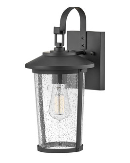 Banks LED Wall Lantern in Black (531|82020BK)