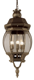 Parsons Four Light Hanging Lantern in Black Gold (110|4067 BG)