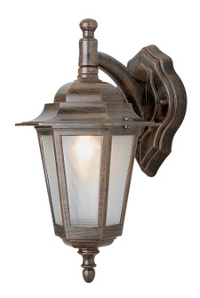 Alexander One Light Wall Lantern in Rust (110|4056 RT)