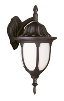 Hamilton One Light Wall Lantern in Black (110|4048 BK)