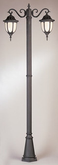 Hamilton Two Light Pole Light in Black (110|4043 BK)