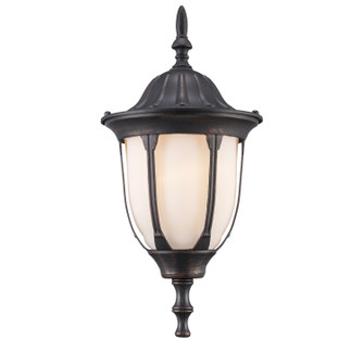 Hamilton One Light Wall Lantern in Rust (110|4041 RT)