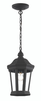 Westfield One Light Hanging Lantern in Black (110|40405 BK)