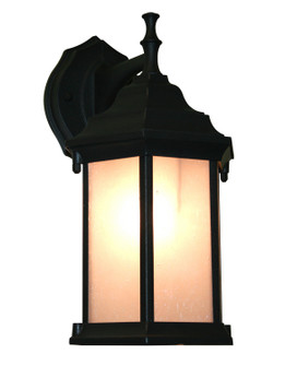 Waterdown One Light Outdoor Wall Light in Black (224|T21-BK-F)