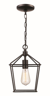 One Light Pendant in Black (110|30261 BK)