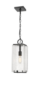 Sana One Light Outdoor Chain Mount Ceiling Fixture in Black (224|592CHM-BK)
