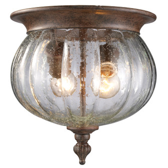Belmont Two Light Outdoor Flush Mount in Weathered Bronze (224|516F-WB)