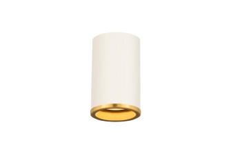 Arlo One Light Flush Mount in Matte White + Rubbed Brass (224|2303F1-MW-RB)