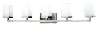 Tidal Five Light Vanity in Brushed Nickel (224|1900-5V)