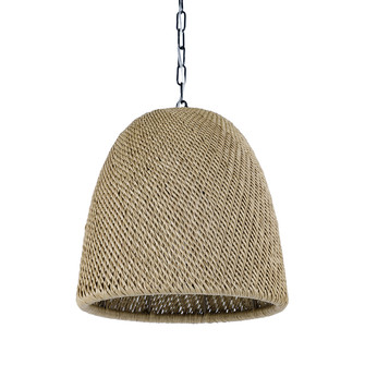 Augustine One Light Outdoor Pendant in Black (515|2054-79)