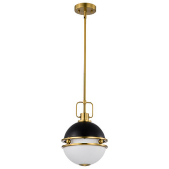 Everton One Light Pendant in Matte Black (72|60-7876)