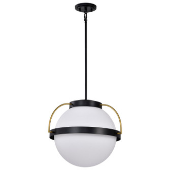 Lakeshore One Light Pendant in Matte Black (72|60-7774)