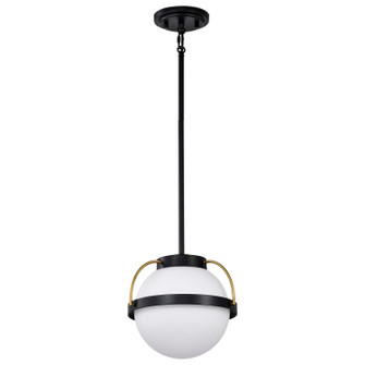 Lakeshore One Light Pendant in Matte Black (72|60-7773)