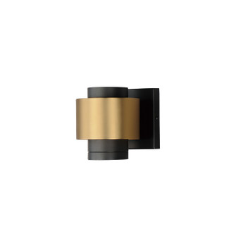 Reveal Outdoor LED Outdoor Wall Sconce in Black / Gold (86|E34752-BKGLD)