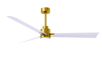 Alessandra - LK 56'' Ceiling Fan in Brushed Brass (101|AKLK-BRBR-MWH-56)