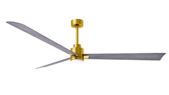 Alessandra - LK 72'' Ceiling Fan in Brushed Brass (101|AKLK-BRBR-BW-72)