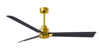 Alessandra 56'' Ceiling Fan in Brushed Brass (101|AK-BRBR-BK-56)