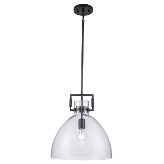 Ameranth One Light Pendant in Black (110|PND-2228 BK)