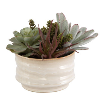 Mesa Succulent Succulent Accent in Textured Tan (52|60209)