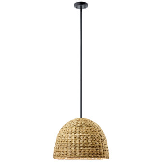 Raffiana One Light Mini Pendant in Black (12|44399BK)