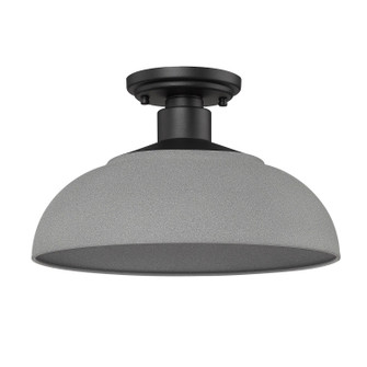 Levitt One Light Outdoor Semi-Flush Mount in Natural Black (62|2866-OSF NB-NG)