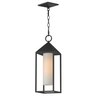 Aldous One Light Outdoor Pendant in Black (16|30079SWBK)