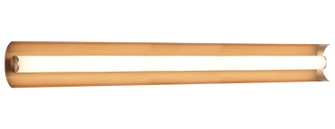Norvan LED Wall Sconce in Aged Gold Brass (423|S02930AG)