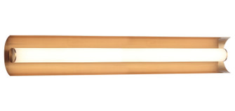 NORVAN LED Wall Sconce in Aged Gold Brass (423|S02924AG)