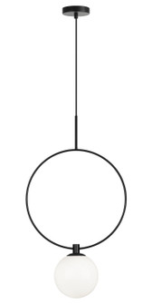 AVERLEY One Light Pendant in Black (423|C71311BKOP)