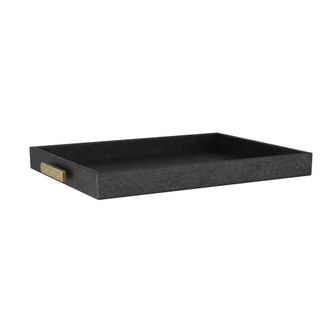 Gavin Tray in Black (314|AYI06)
