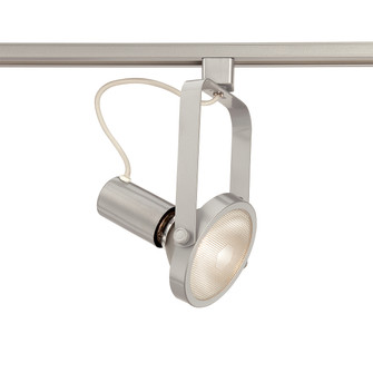 GIMBAL 38 TRACKHEAD,PAR38,150W,PLATINUM in Platinum (40|TK-HGP38-S5)