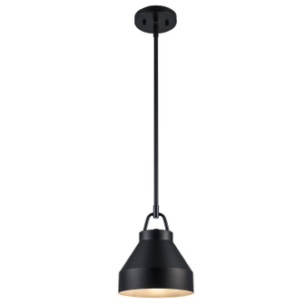 One Light Pendant in Black (110|PND-2241 BK)