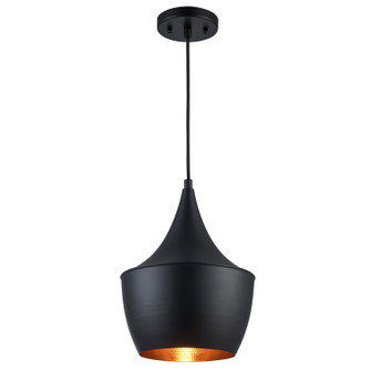 One Light Pendant in Black (110|PND-2238 BK)