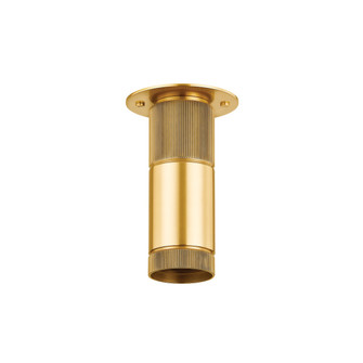Dighton One Light Flush Mount in Aged Brass (70|2205-AGB)