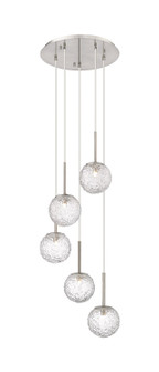 Barrington Five Light Mini Pendant in Brushed Satin Nickel (405|320-5P-SN-G320-6CL-SN)