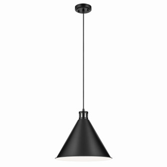 Zailey One Light Pendant in Black (12|52177BK)