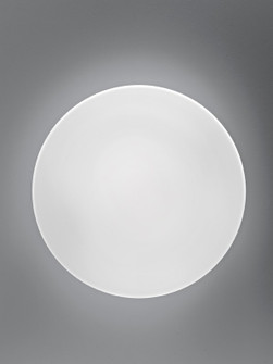 Bis One Light Wall / Ceiling Mount in White (556|ZA-LL6111NE)