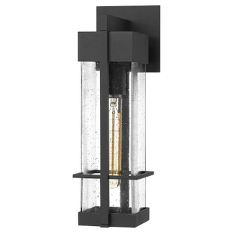 Wynn One Light Outdoor Wall Mount in Earth Black (10|WYN8405EK)