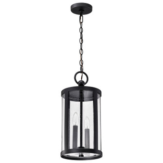 Broadstone Two Light Hanging Lantern in Matte Black (72|60-8115)