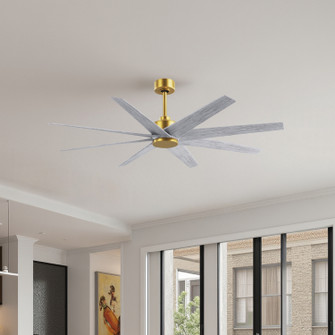 Ariella 64'' Ceiling Fan in Brushed Brass (101|AN-BRBR-BW-64)
