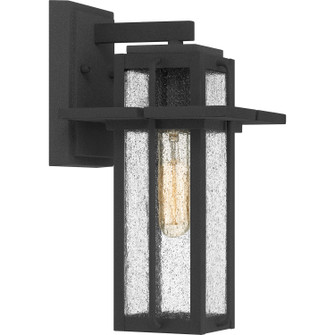 Randall One Light Outdoor Wall Mount in Mottled Black (10|RDL8407MB)
