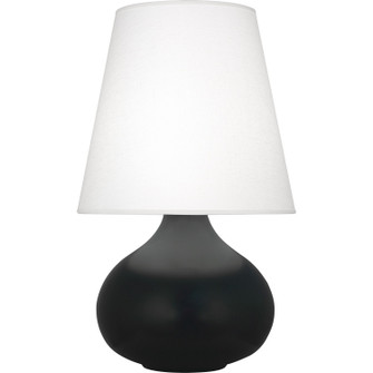 Small June One Light Accent Lamp in Matte Obsidian Glazed Ceramic (165|MOS93)