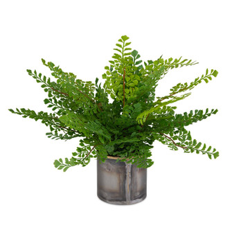 Maidenhair Fern Container in Gold (52|60237)