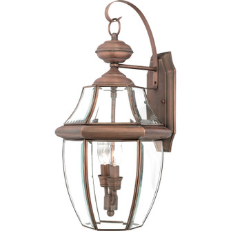 Newbury Two Light Outdoor Wall Lantern in Aged Copper (10|NY8317AC)