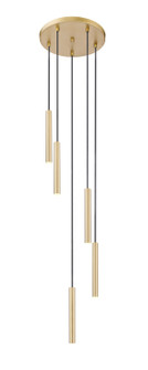 Forest LED Chandelier in Modern Gold (224|919MP12-5R-MGLD-LED)