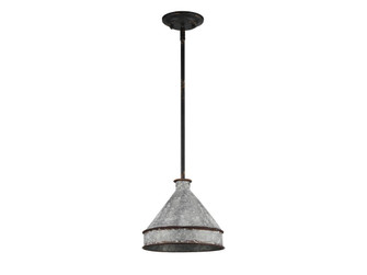 Jasper One Light Pendant in Antique Black Iron (62|0877-M ABI-GV)