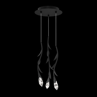 Secret Garden LED Pendant in Black (53|S2403-51OH)