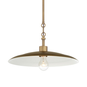 York One Light Pendant in Natural Brass (7|296-741)