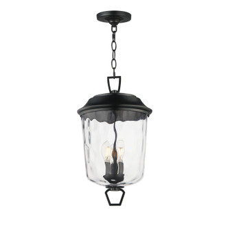 Prescott Three Light Outdoor Pendant in Dark Bronze (16|34213WGDBZ)